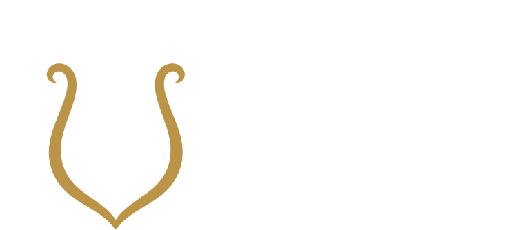 Apollo Health